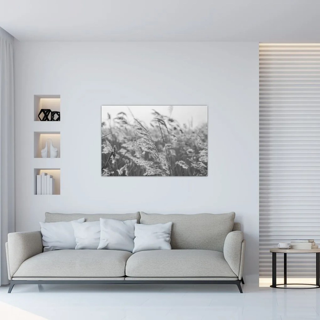 Obraz - Tráva vo vetre (90x60 cm)