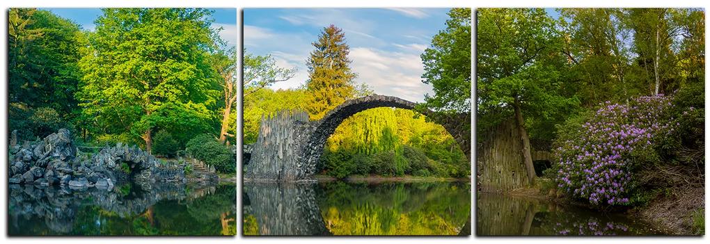 Obraz na plátne - Most v parku v Kromlau - panoráma 5246B (120x40 cm)