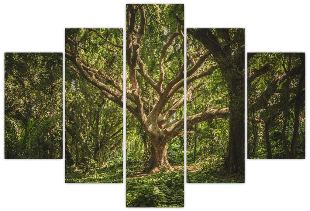Obraz stromov (150x105 cm)
