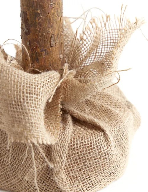 Vianočný stromček ETTA 874593