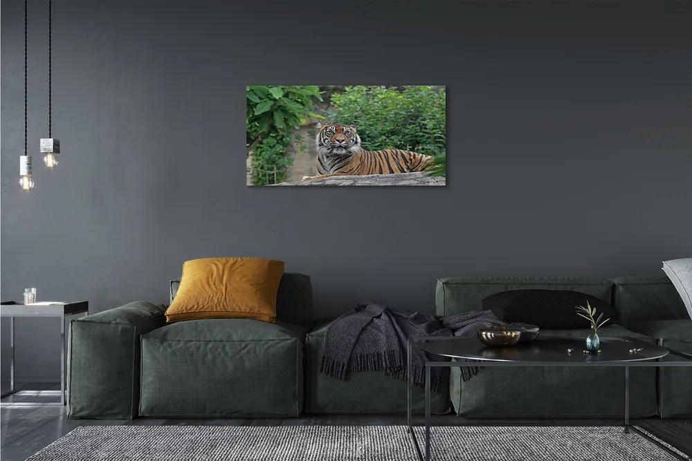 Obraz na plátne Tiger Woods 125x50 cm