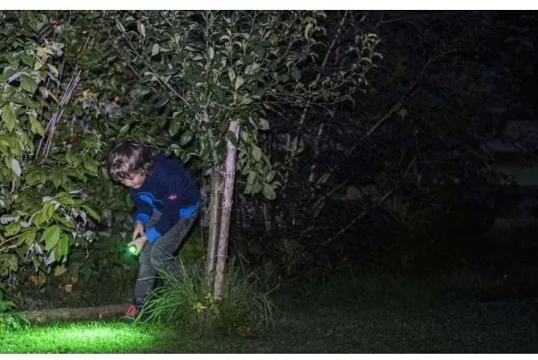 Ledlenser KIDBEAM4 DINO - LED stmievateľná detská baterka LED/2xAAA IP44 zelená