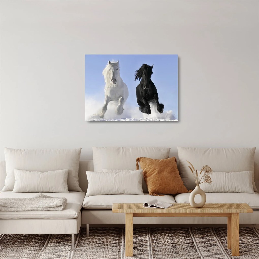 Sklenený obraz - Kone v zime (70x50 cm)
