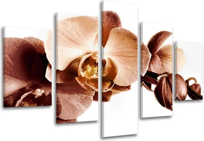 Obraz na stenu 5 dielny KVETY XOBKV110E50 - 150x100 cm