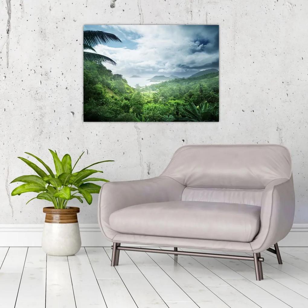 Sklenený obraz - Seychelská jungle (70x50 cm)