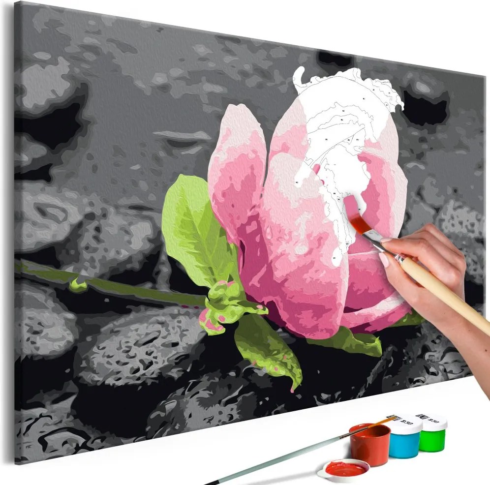 Bimago Maľovanie podľa čísel - Pink Flower and Stones