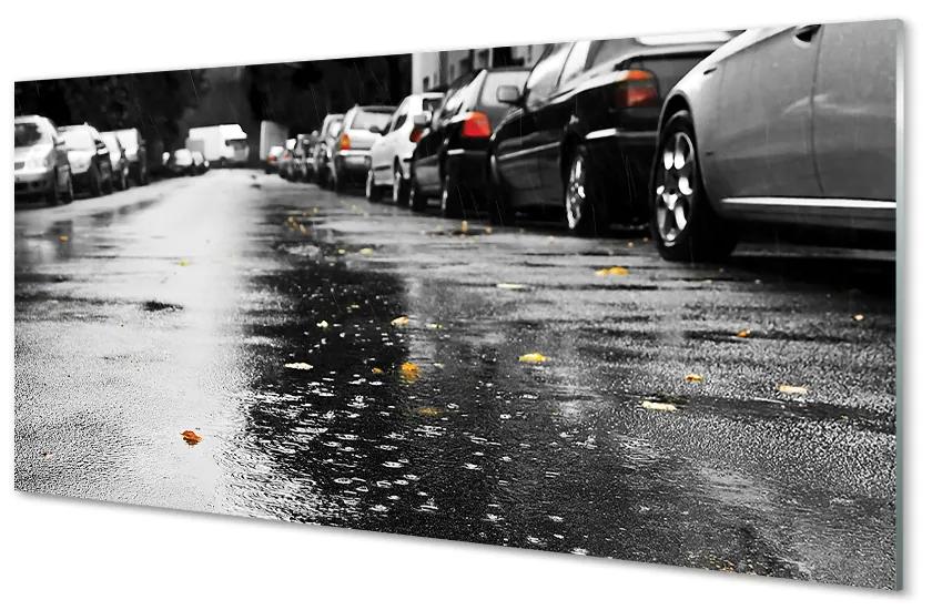 Obraz na skle Car jesenné lístie cesty 140x70 cm