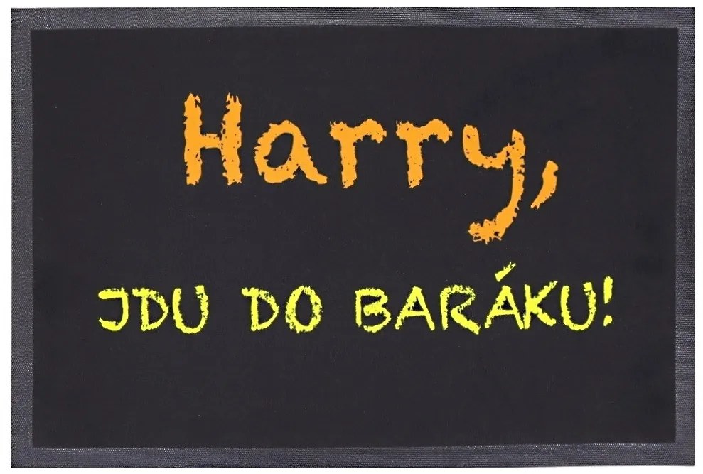 Rohožka Harry, jdu do baráku 40x60 cm, 40x60, čierna, Mercury Flooring