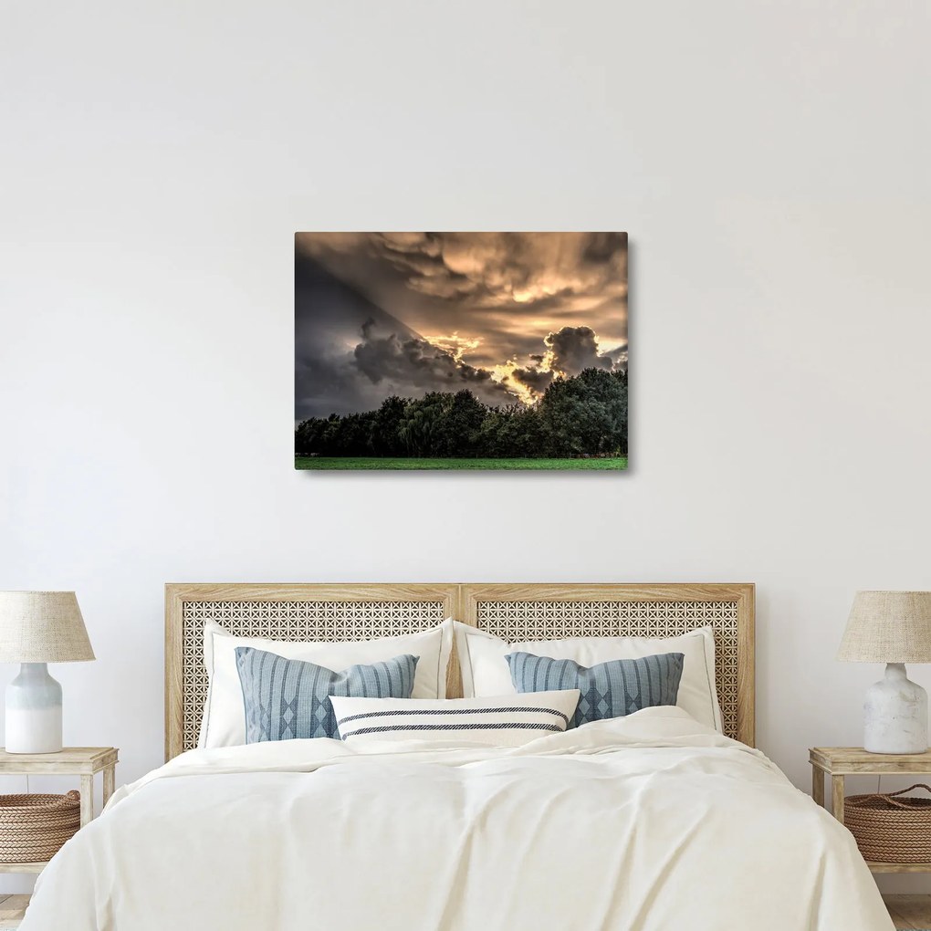 Obraz mračien a lesa (70x50 cm)
