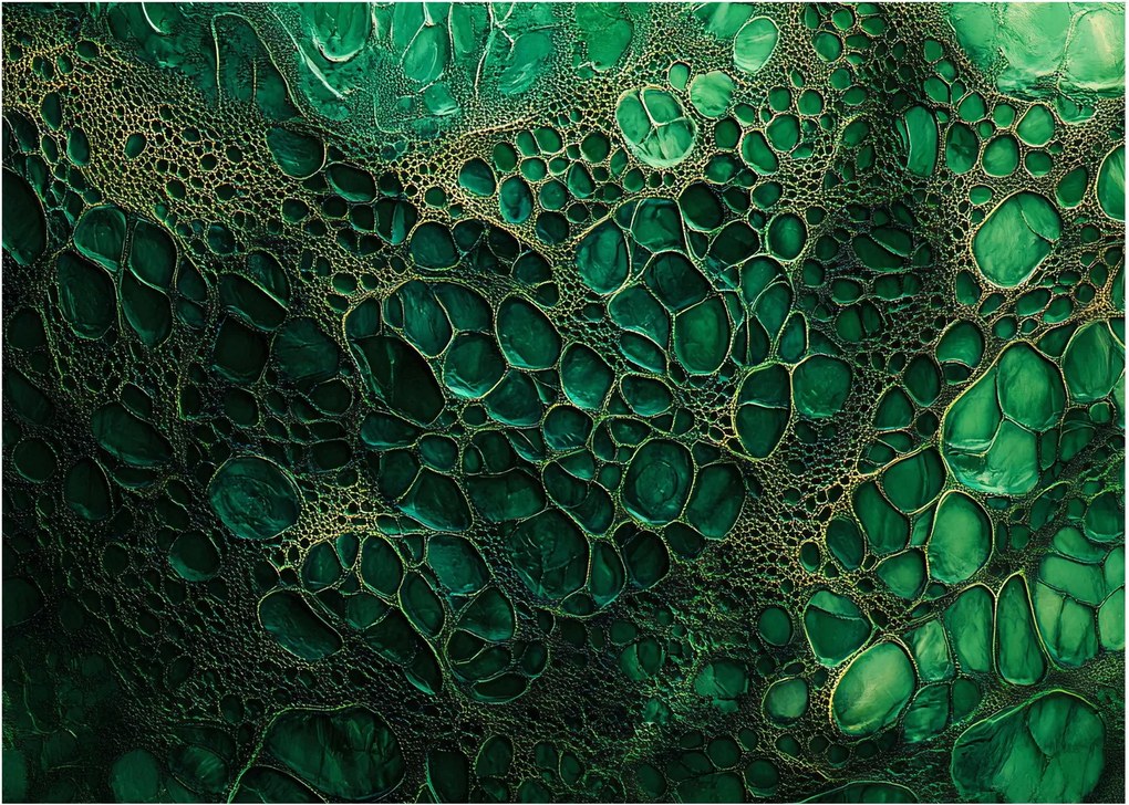 Obraz - Zelený mikroskopický záber (70x50 cm)