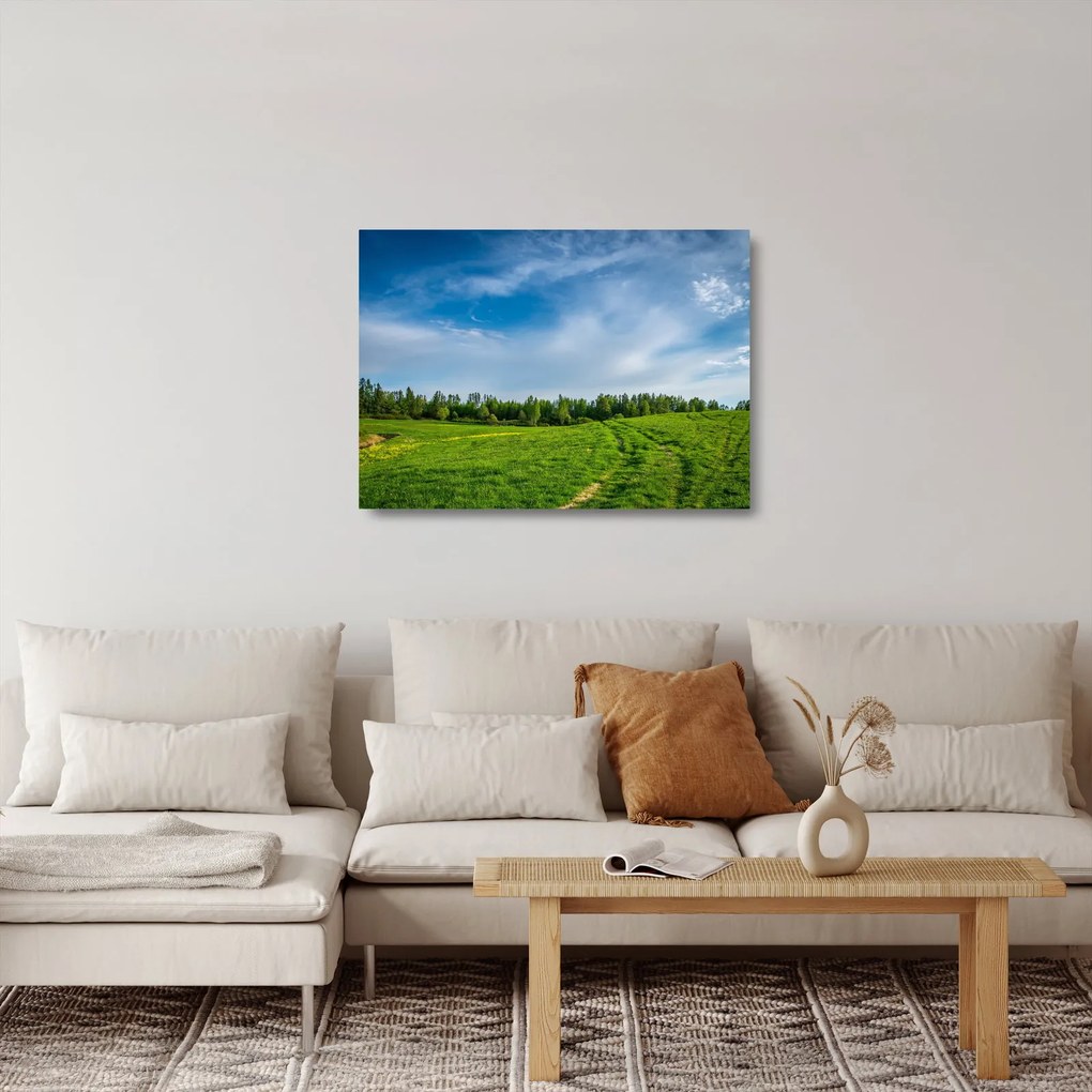 Sklenený obraz lúky (70x50 cm)