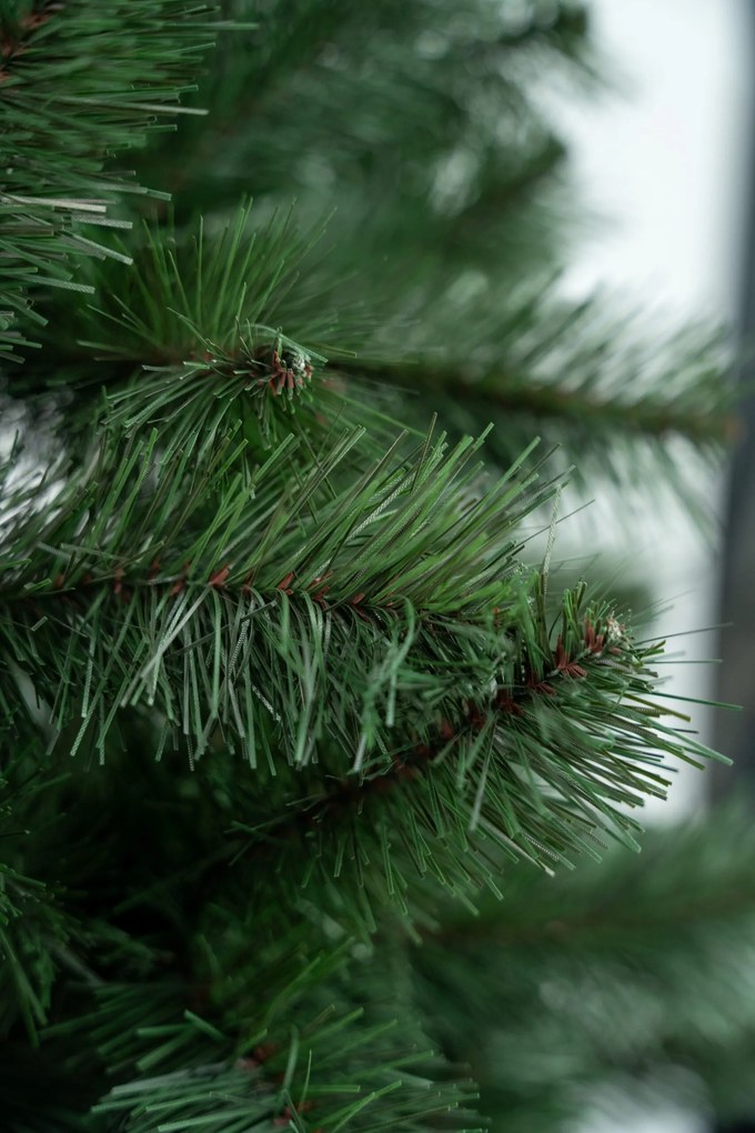 Limpol Jedľa Super Lux 2,40 m