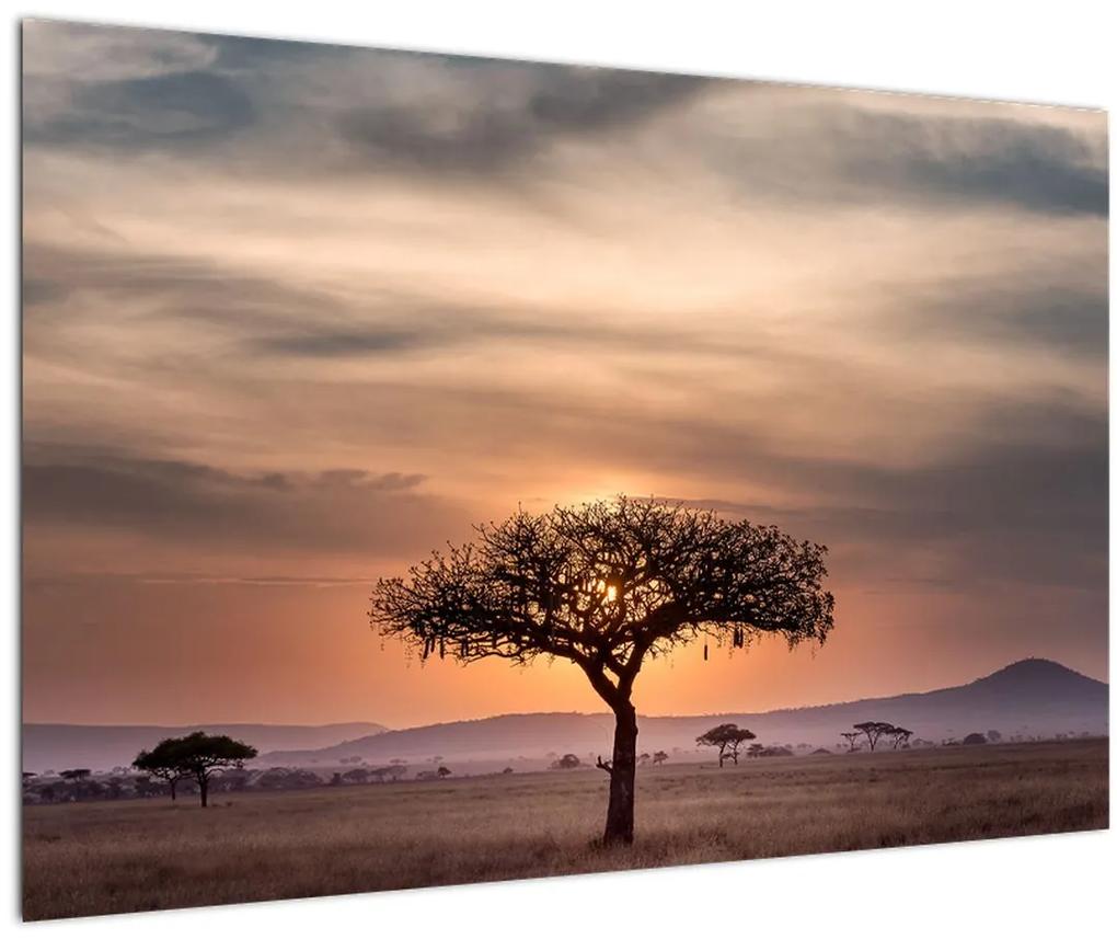 Obraz západu slnka v Tanzánii (90x60 cm)