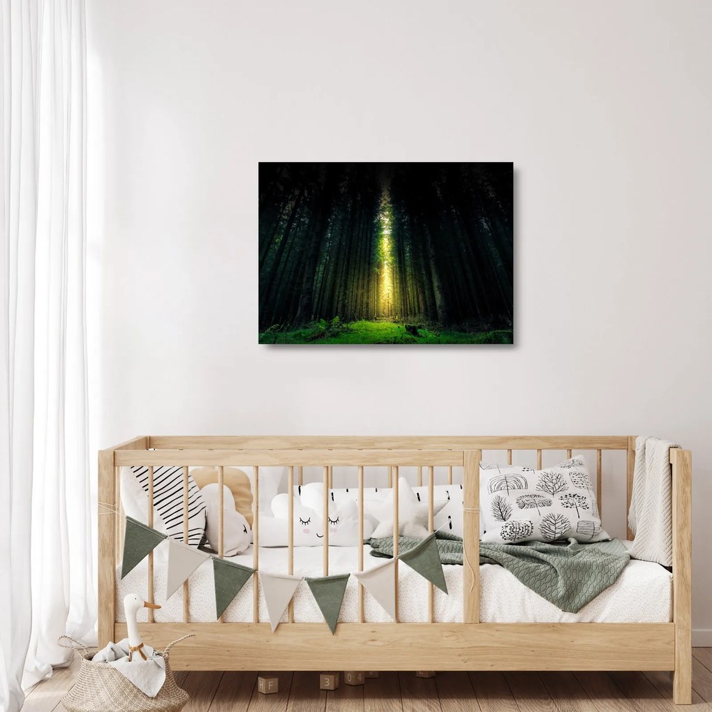 Sklenený obraz temného lesa (70x50 cm)