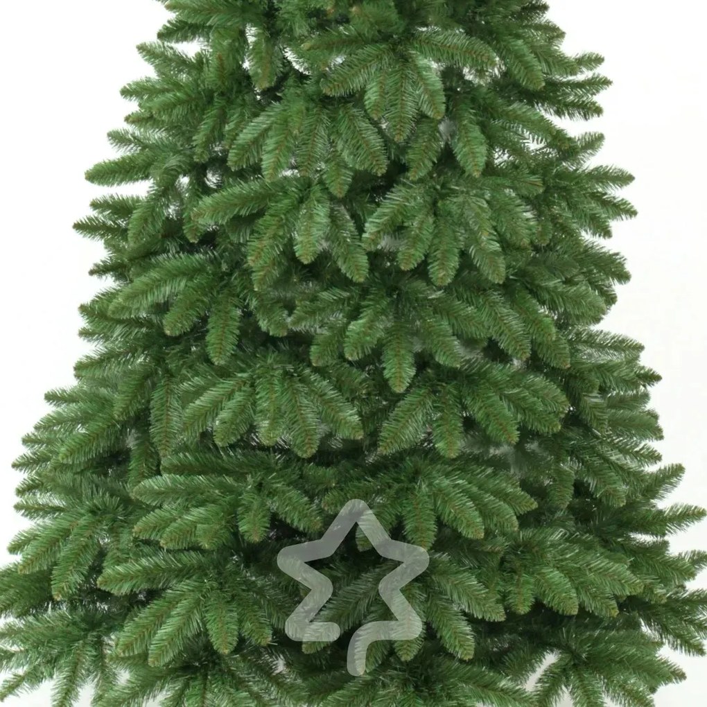 Smrek Kanadský 2D 220 cm