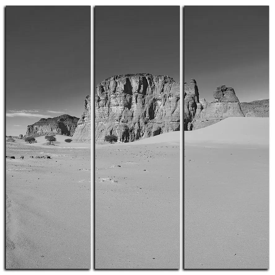 Obraz na plátne - Cesta v púšti - štvorec 3129QB (105x105 cm)