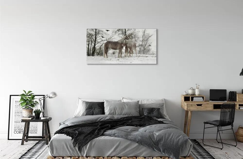 Sklenený obraz Zimný lesné jednorožce 100x50 cm