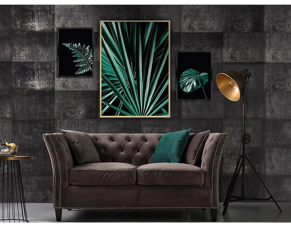 Súbor obrazov Botanica 3 ks