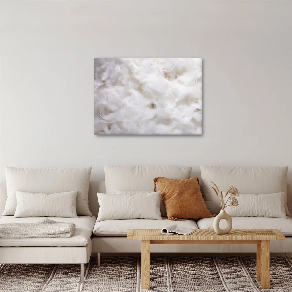 Obraz - Biele perie (70x50 cm)