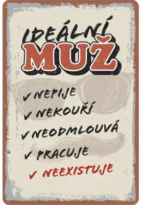 Ceduľa BU20054 20x30 cm Ideálny muž