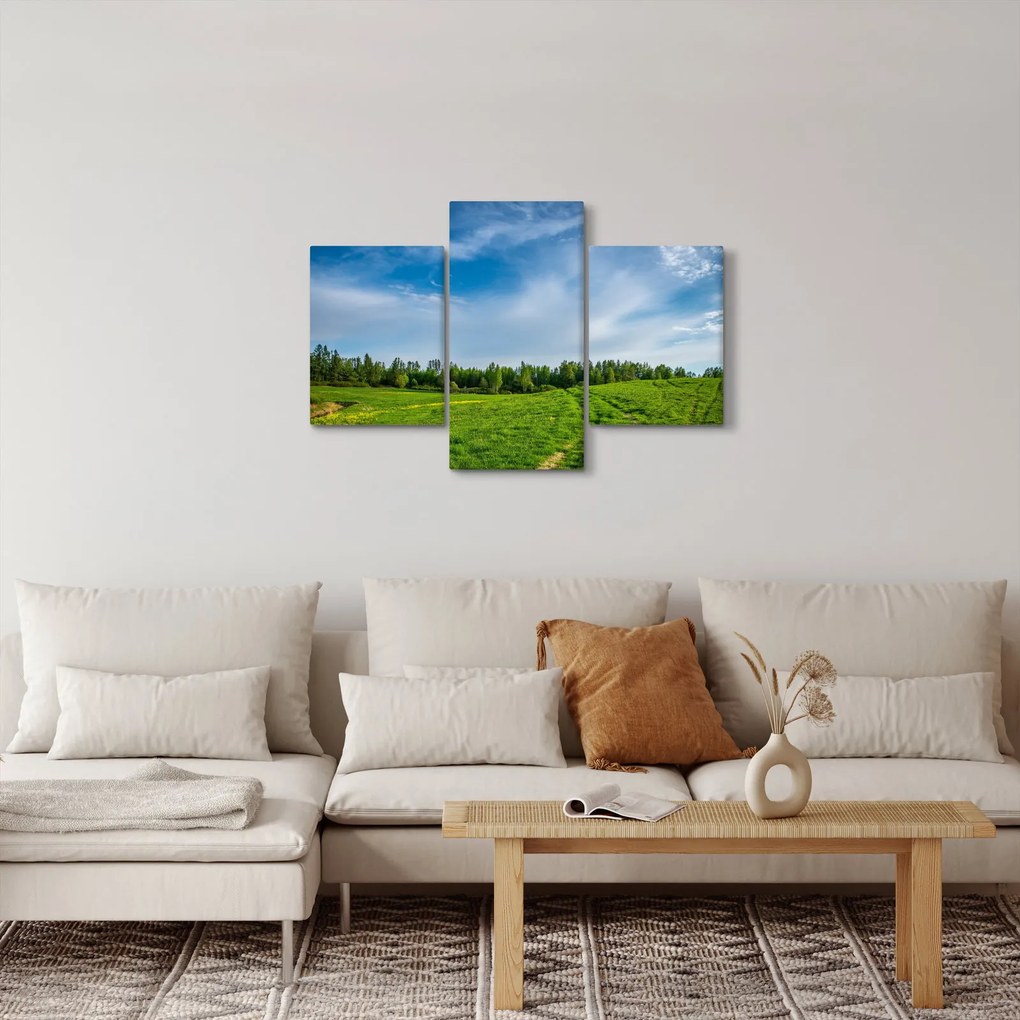 Obraz lúky (90x60 cm)