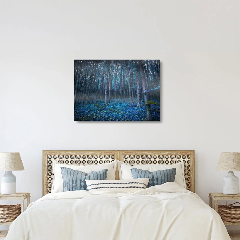 Sklenený obraz - Magický les (70x50 cm)