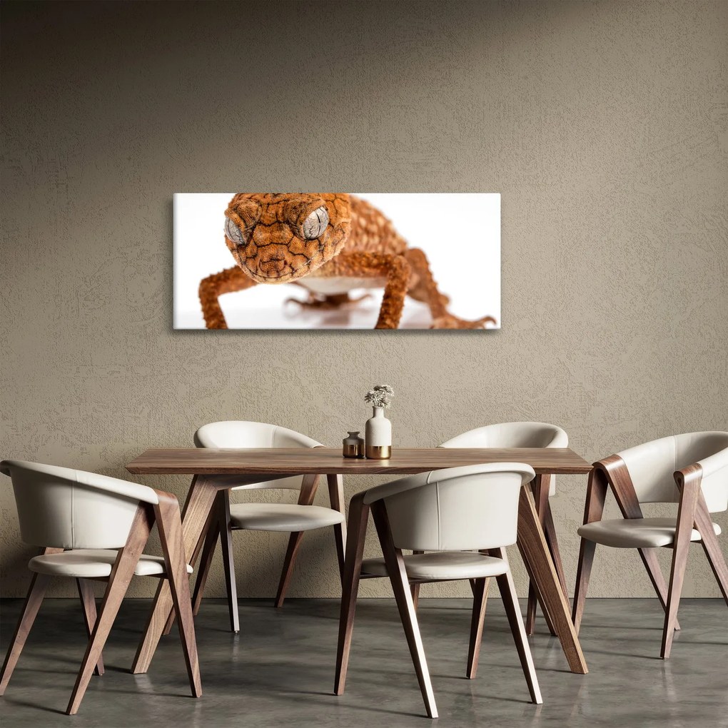 Obraz jašterice (120x50 cm)
