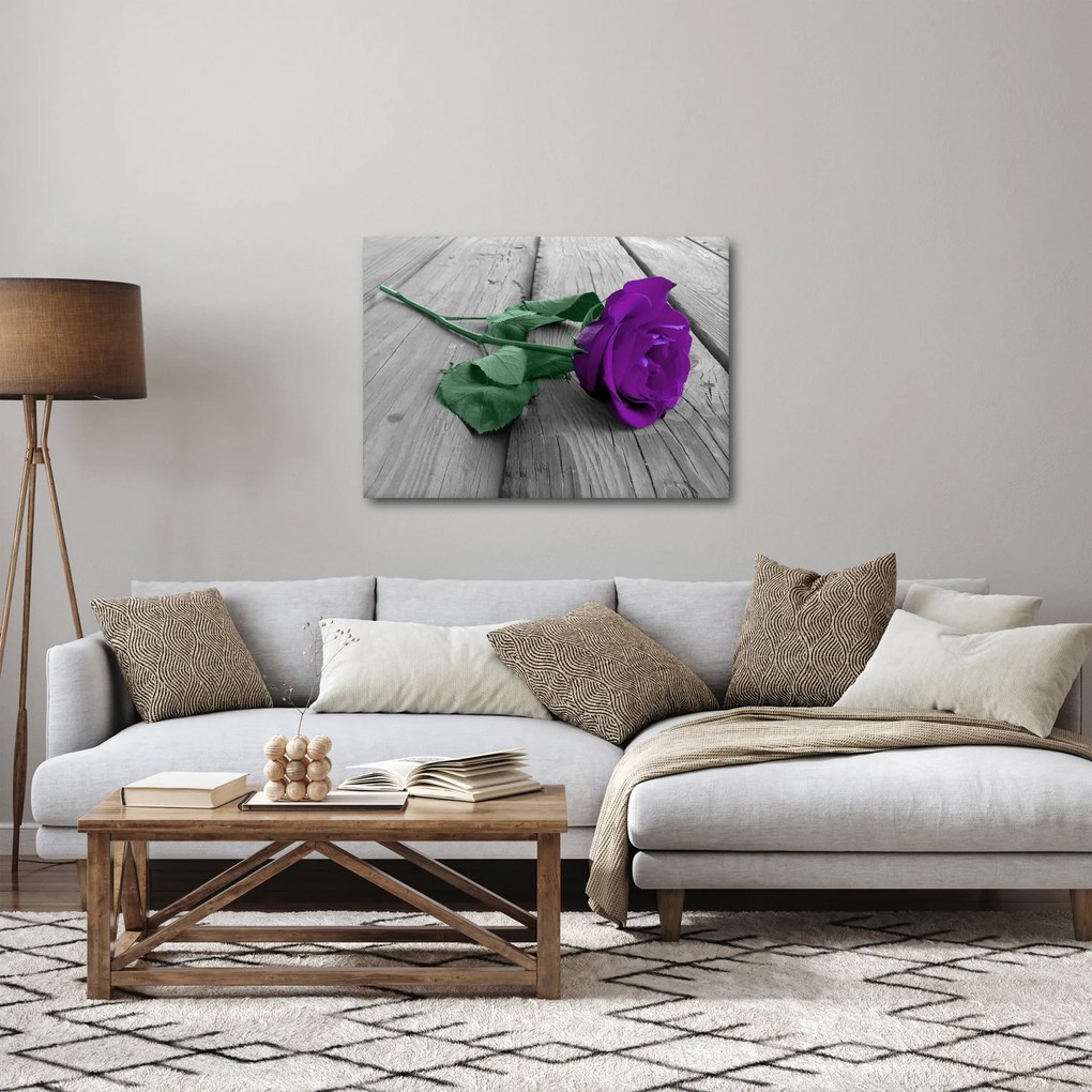 Obraz - Fialová ruža so zelenou stonkou (70x50 cm)