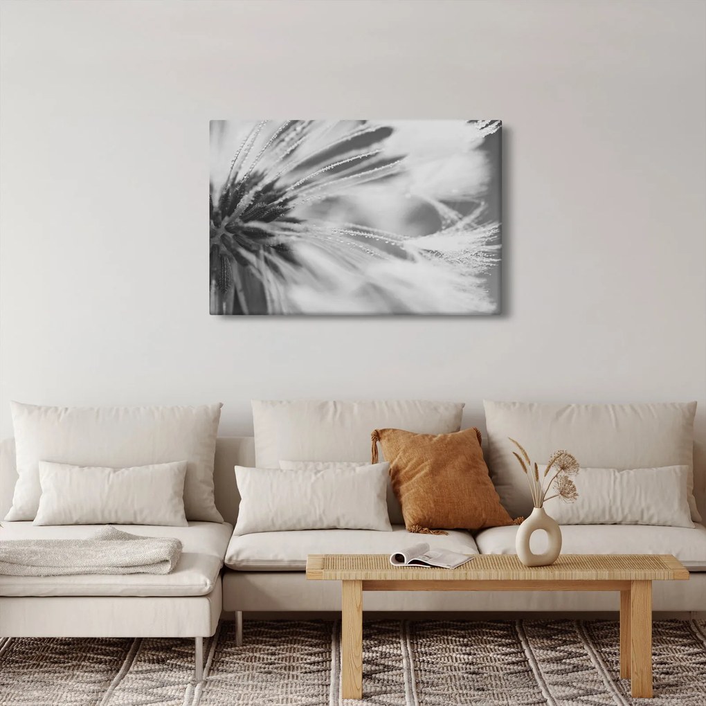 Obraz - Púpava (90x60 cm)
