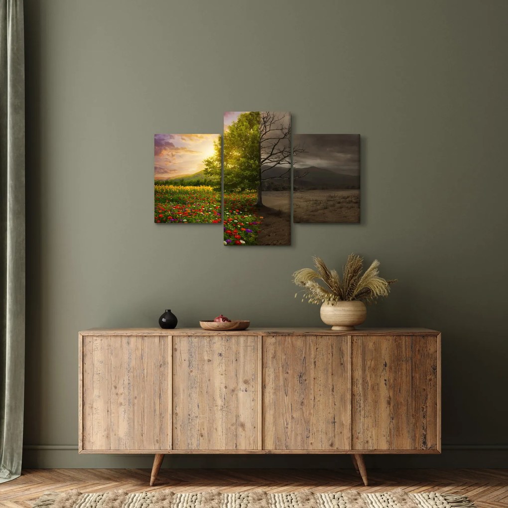 Obraz - Kolobeh života (90x60 cm)