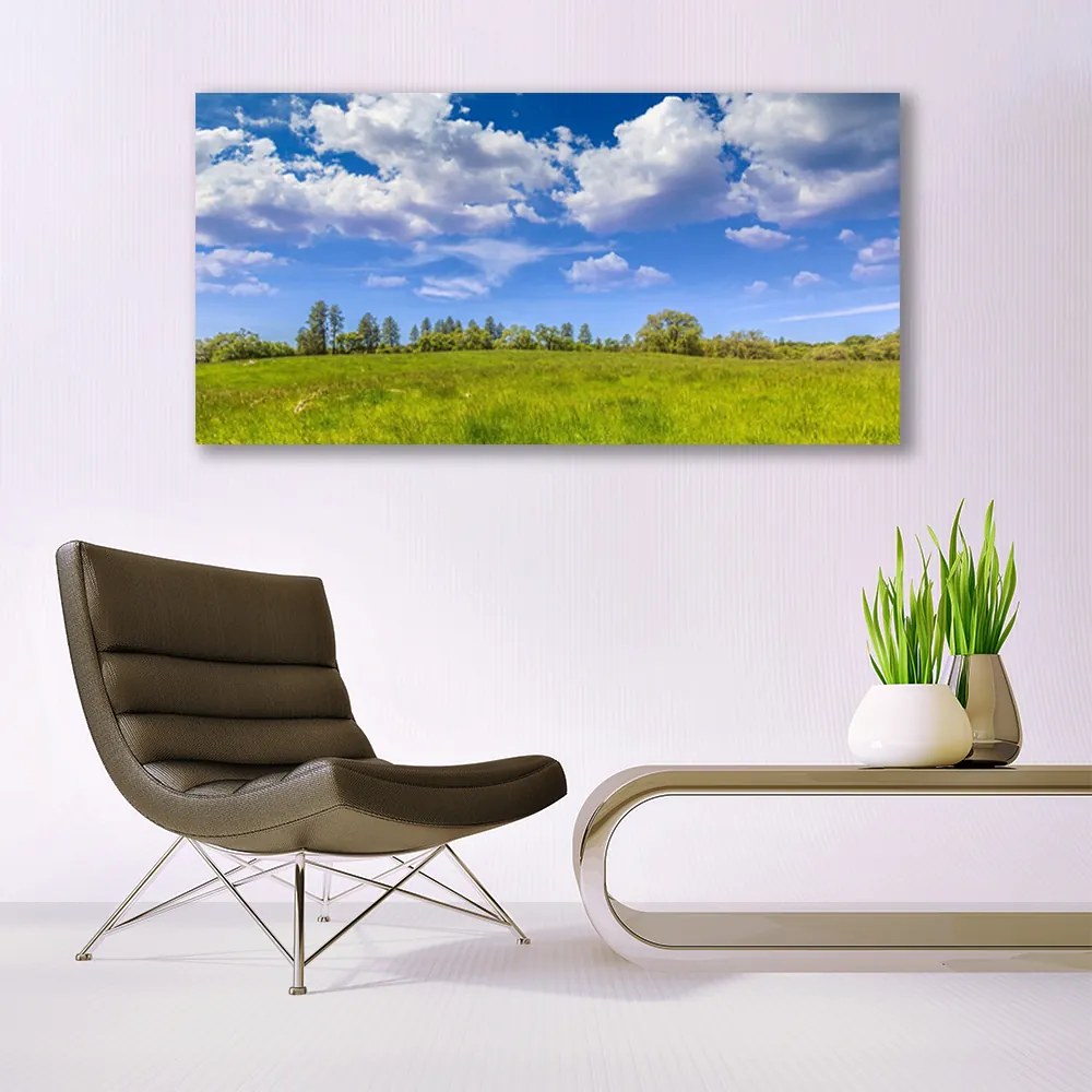 Obraz plexi Lúka tráva nebo krajina 120x60 cm