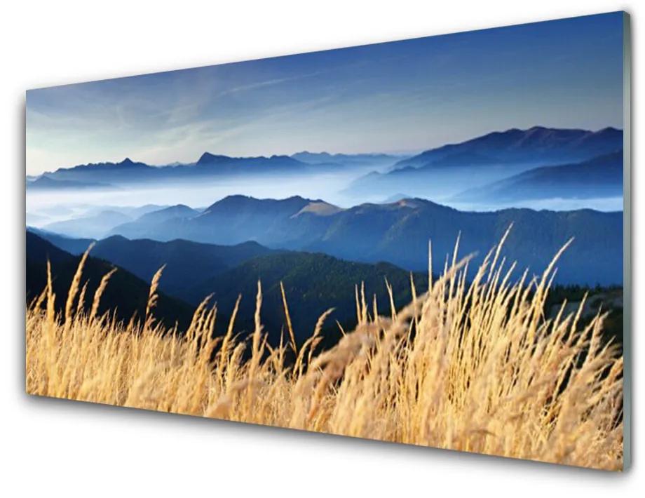 Obraz na akrylátovom skle Pole príroda 100x50 cm