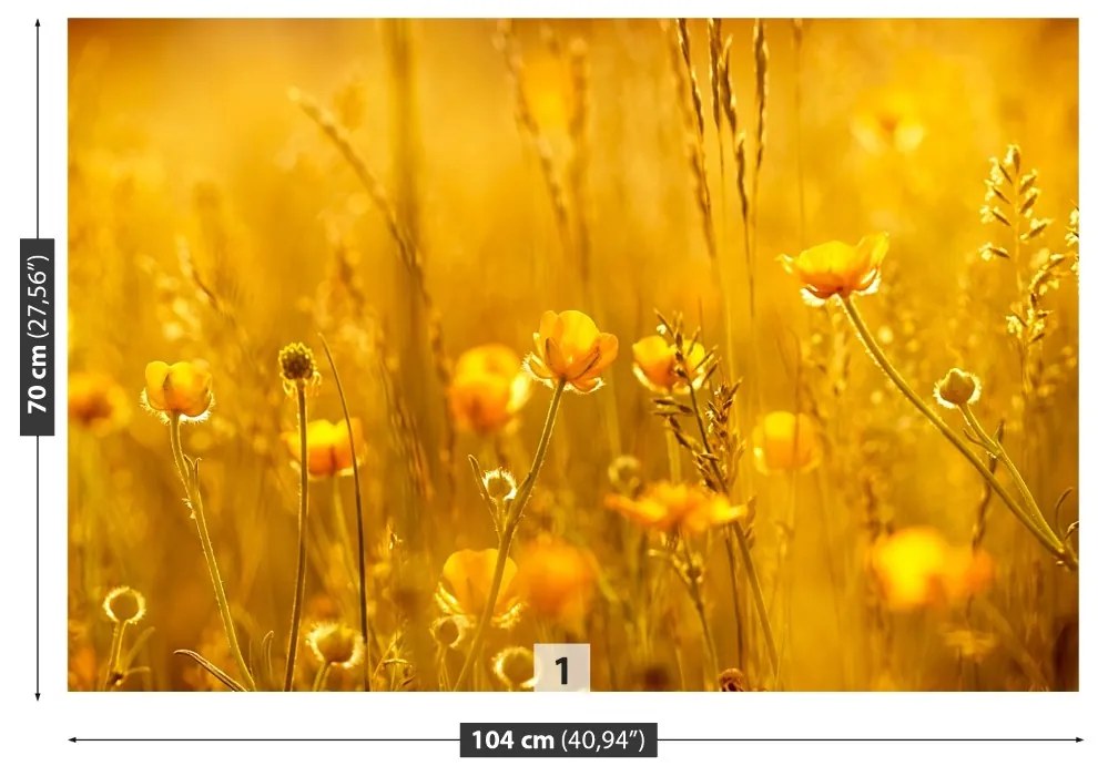 Fototapeta Vliesová Lúčne kvety 104x70 cm
