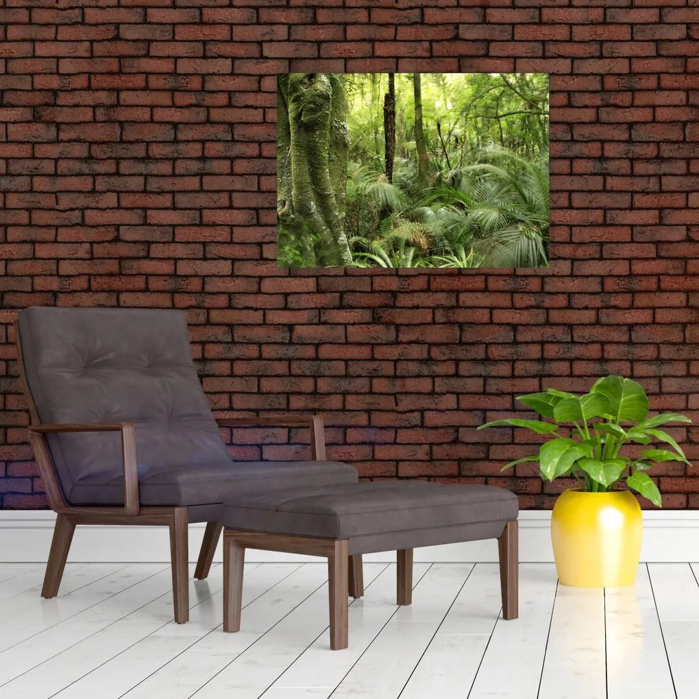 Sklenený obraz Tropický dažďový prales (70x50 cm)