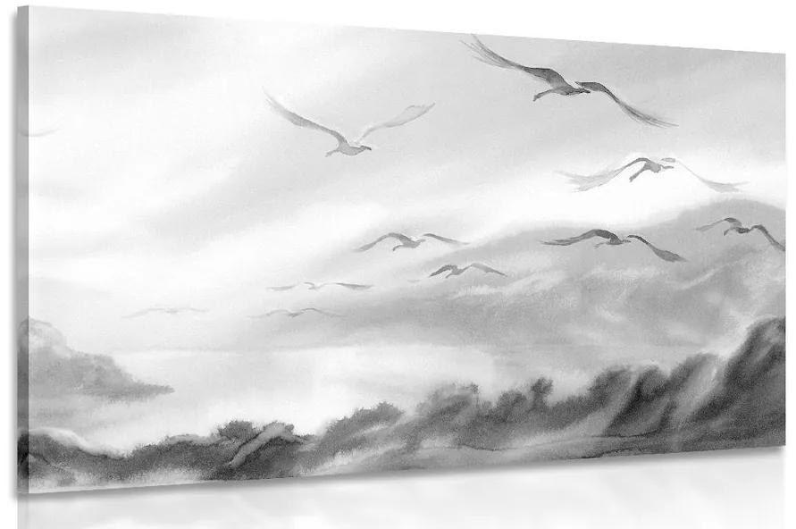 Obraz prelet vtákov ponad krajinku v čiernobielom prevedení Varianta: 90x60