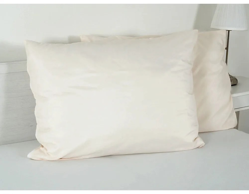 Obliečka na vankúš z mikrovlákna 70x90 cm Summer – B.E.S.