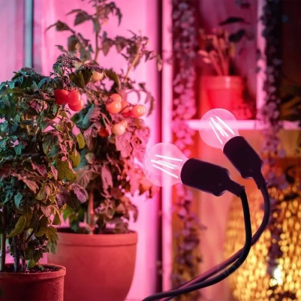 Flexibilná stolná lampa s klipom PLANTY 2xE27/30W/230V čierna