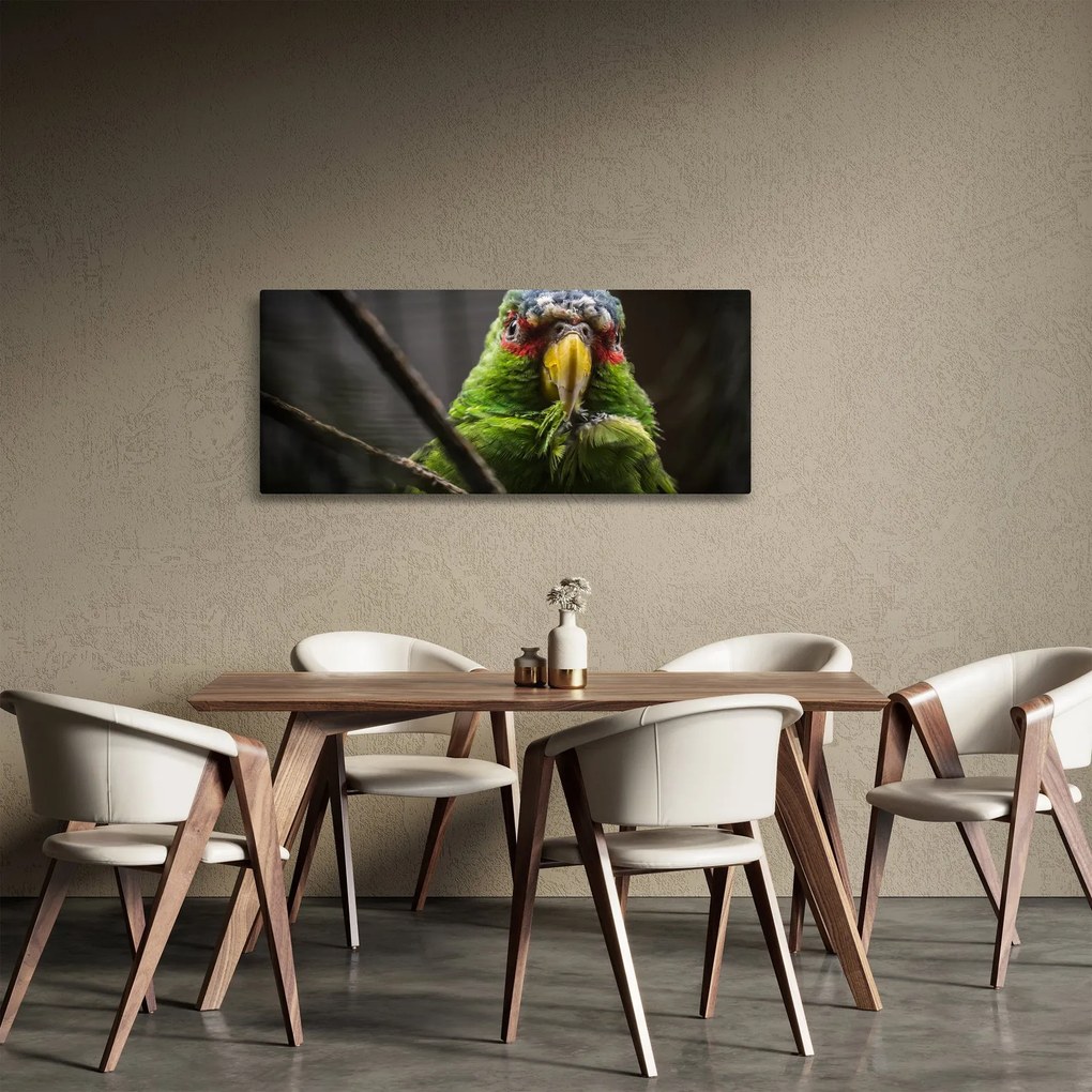 Obraz papagája (120x50 cm)