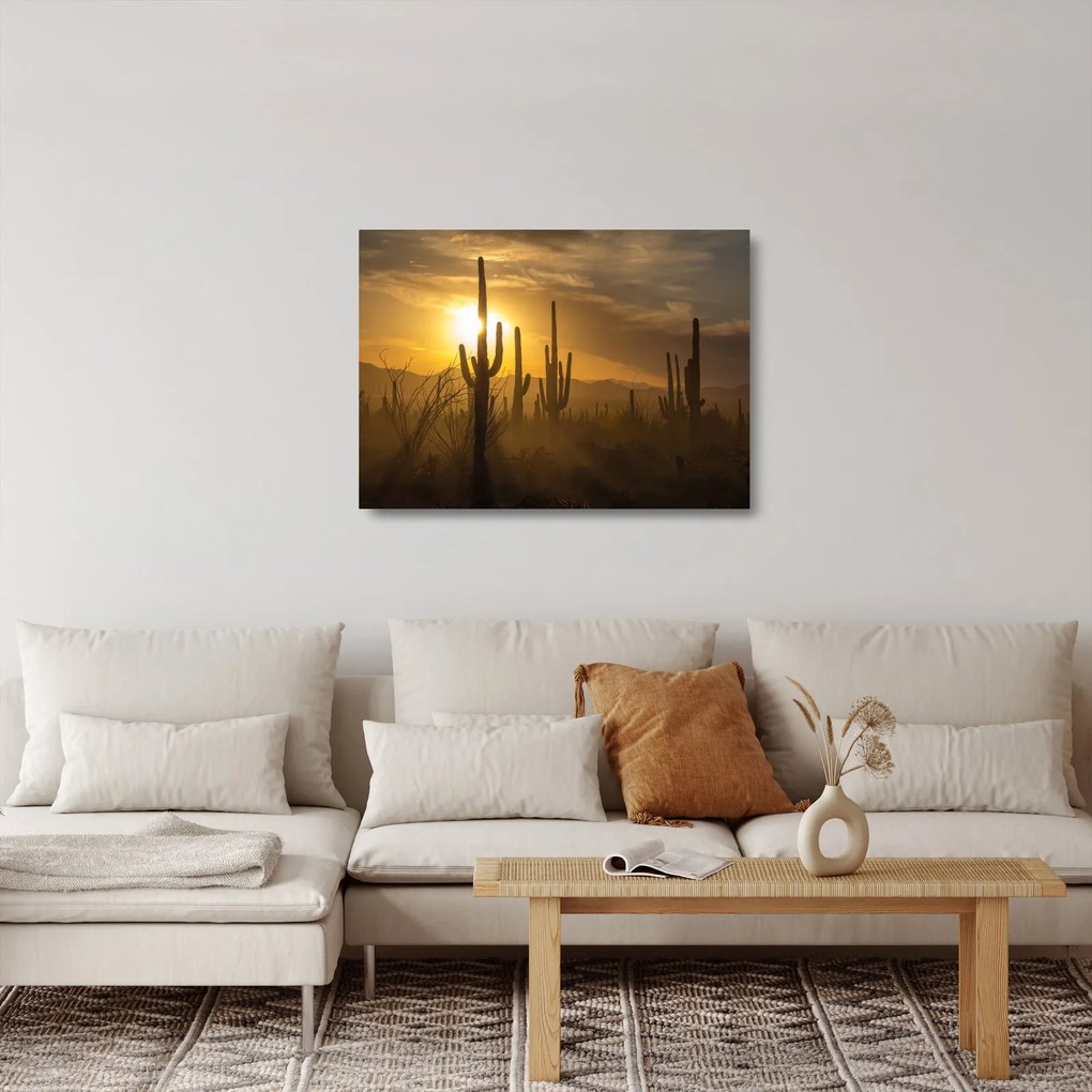Sklenený obraz - Kaktusy Saguaro (70x50 cm)