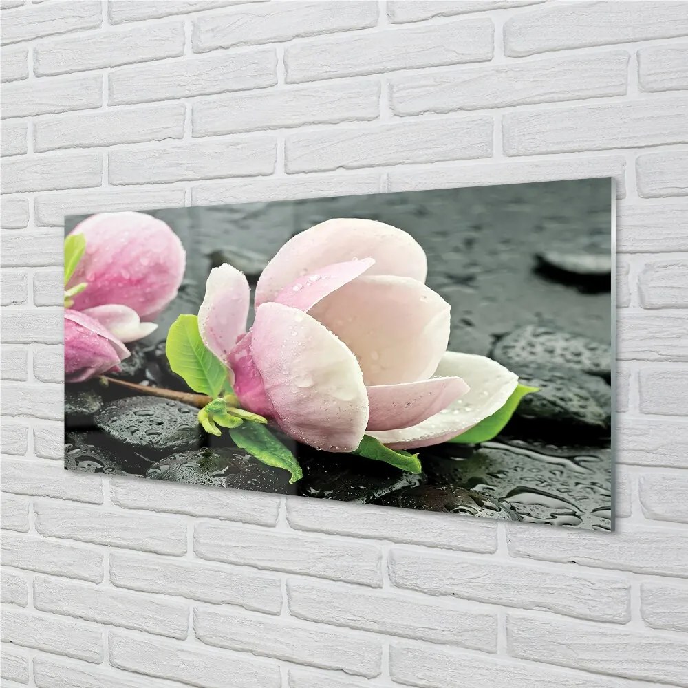 Sklenený obraz Magnolia kamene 125x50 cm
