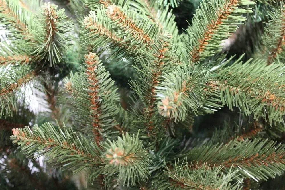 Evergreen Vianočný stromček - horský smrek - 180 cm