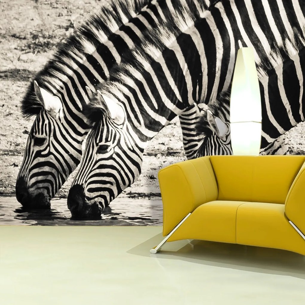 Sablio Tapeta Zebry pri vode - 208x125 cm
