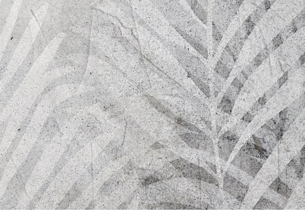 Manufakturer -  Tapeta Black and white palm tree samolepiaca