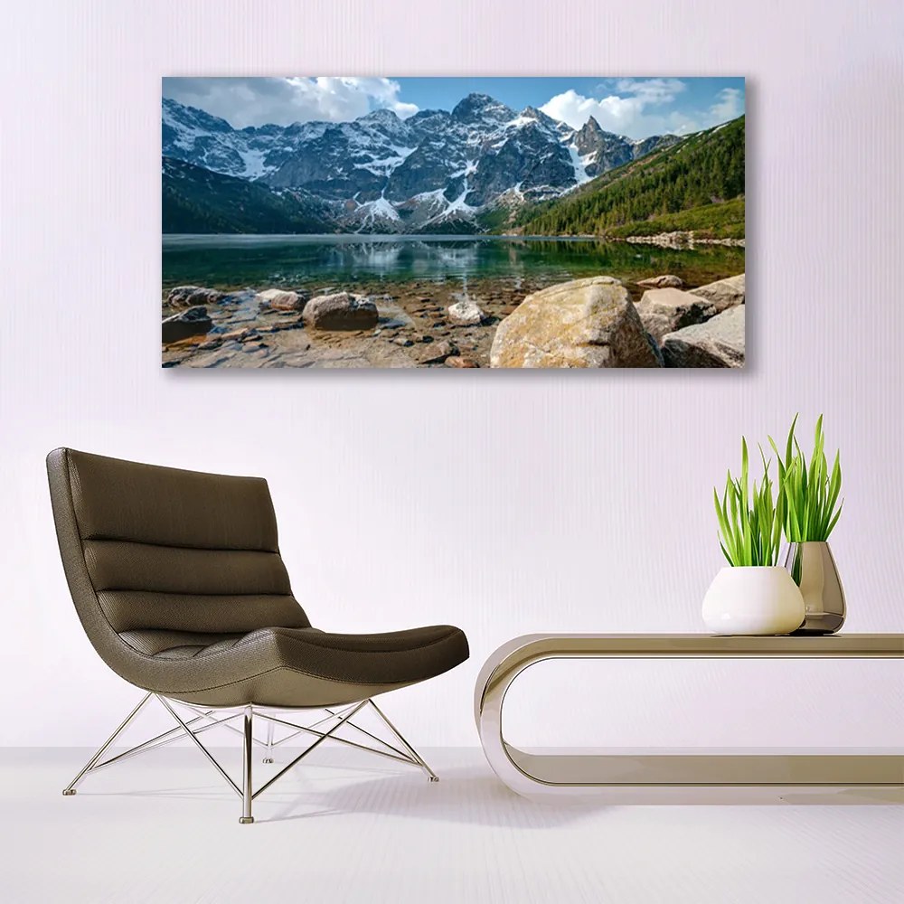 Obraz plexi Hory les jazero kamene 120x60 cm