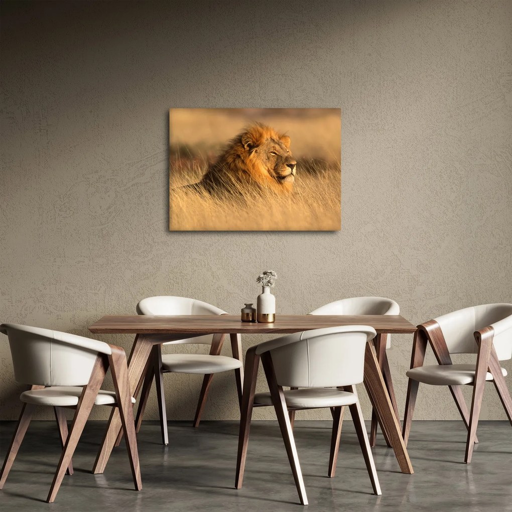 Obraz - Národný park Etosha (70x50 cm)
