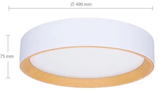 Brilagi -LED Stmievateľné svietidlo LARIOS LED/60W/230V 3000-6500K ø 49 cm biela+DO