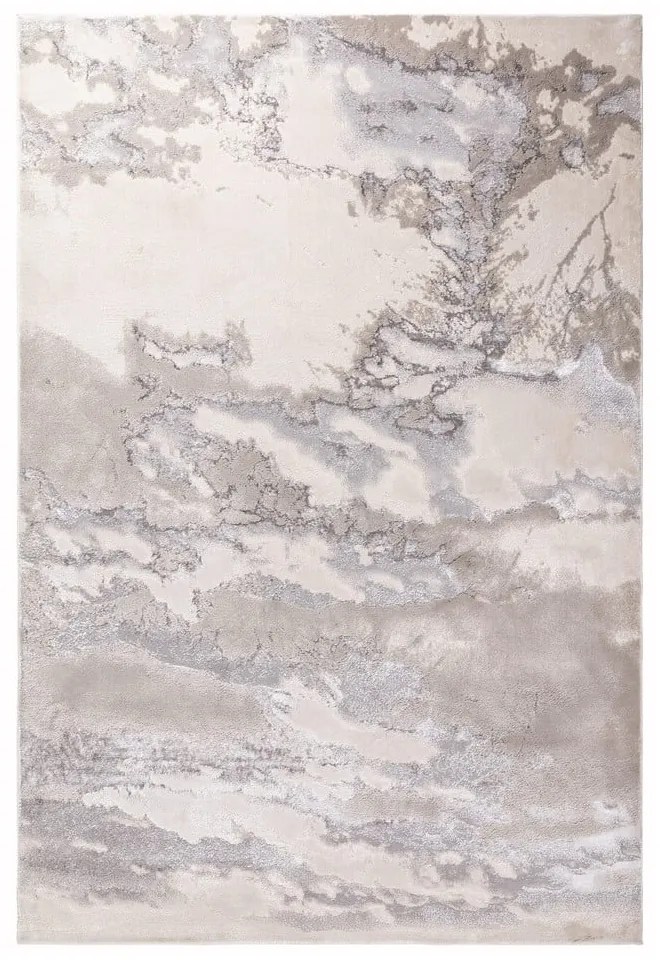 Sivý koberec 290x200 cm Aurora - Asiatic Carpets