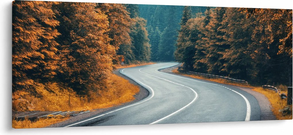 Obraz - Kľukatá cesta (120x50 cm)