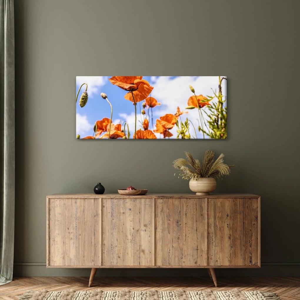 Obraz vlčích makov (120x50 cm)