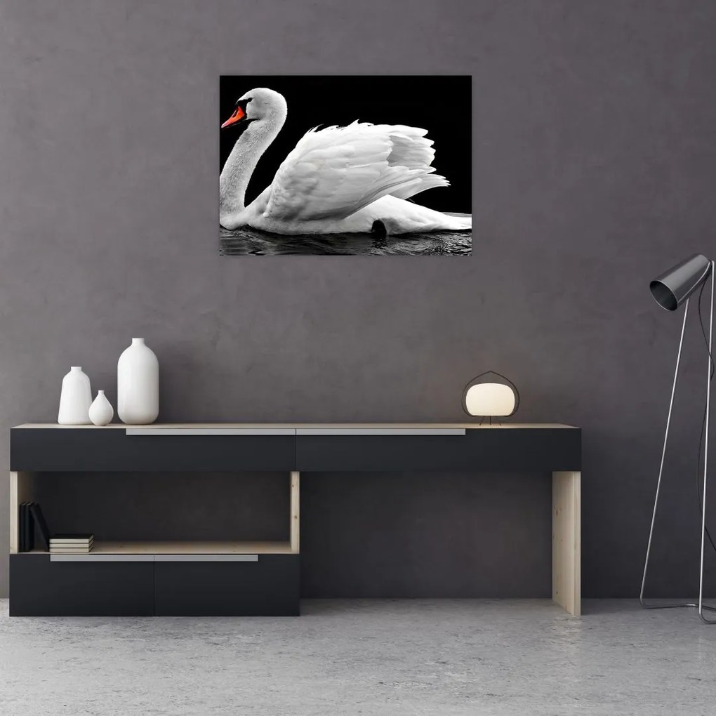 Sklenený obraz čiernobielej labute (70x50 cm)